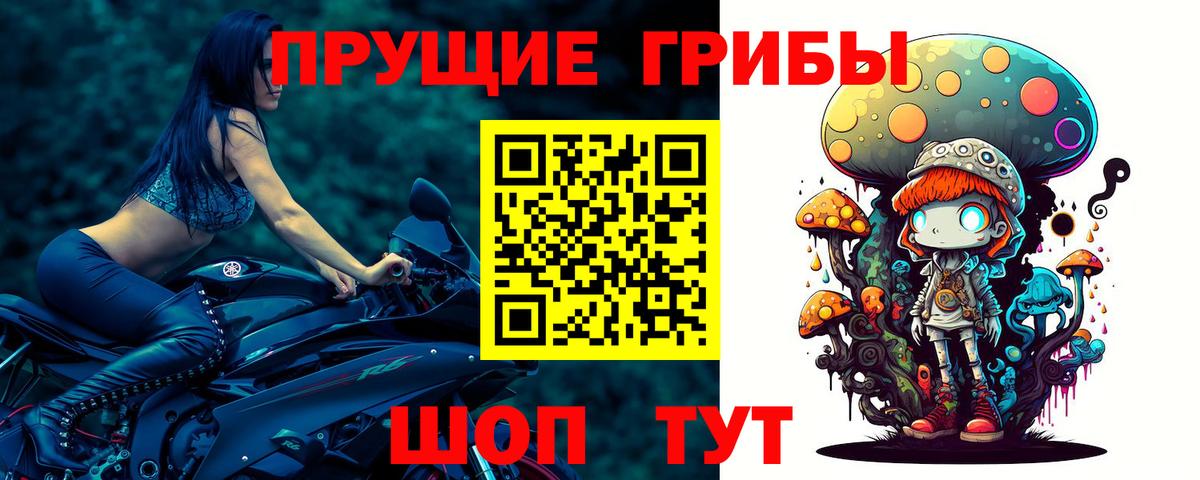 Галлюциногенные грибы мицелий Грозный