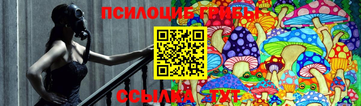 Грозный  Псилоцибиновые грибы Psilocybine cubensis  Вход с VPN 